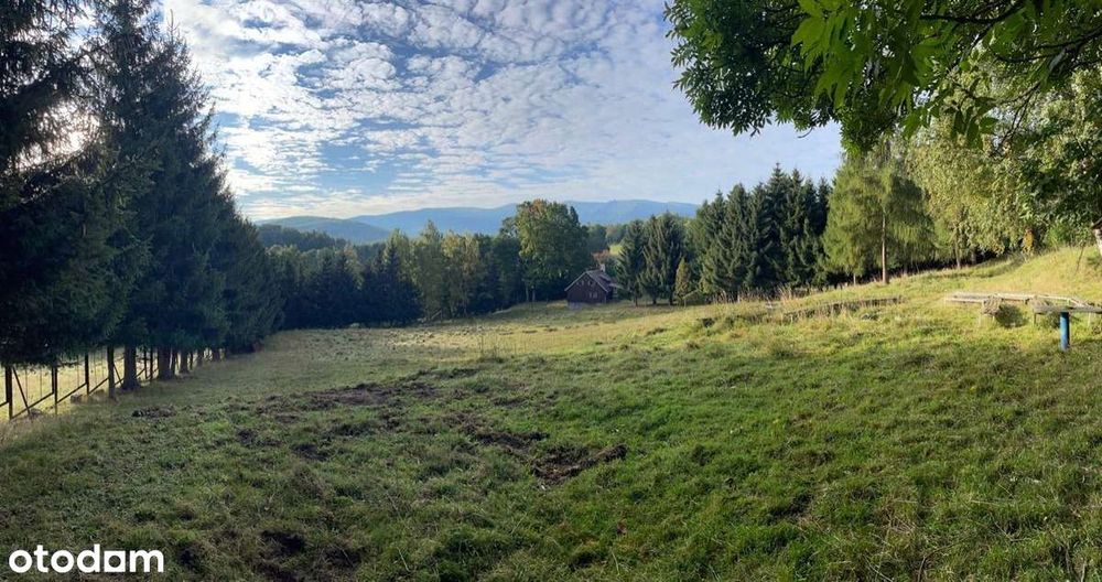 Atrakcyjna działka budowlana dla Dewelopera