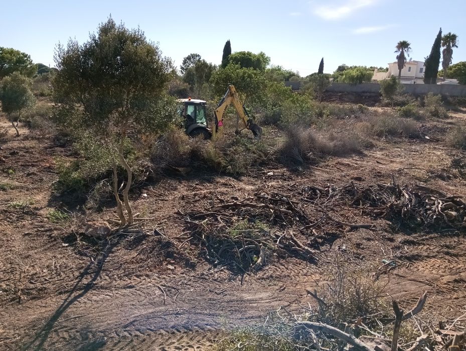 Limpeza de terros/Manutenção de jardins