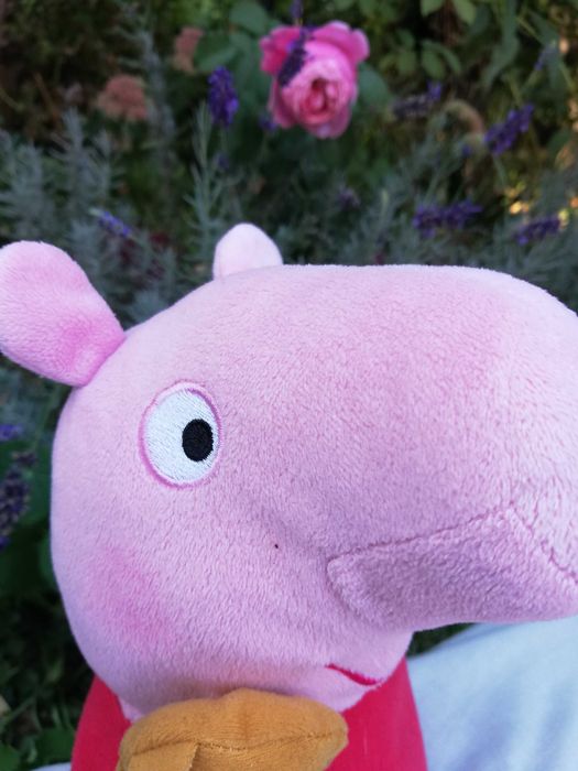 Maskotka Świnka Pepa, Peppa Pig Ty 30 cm