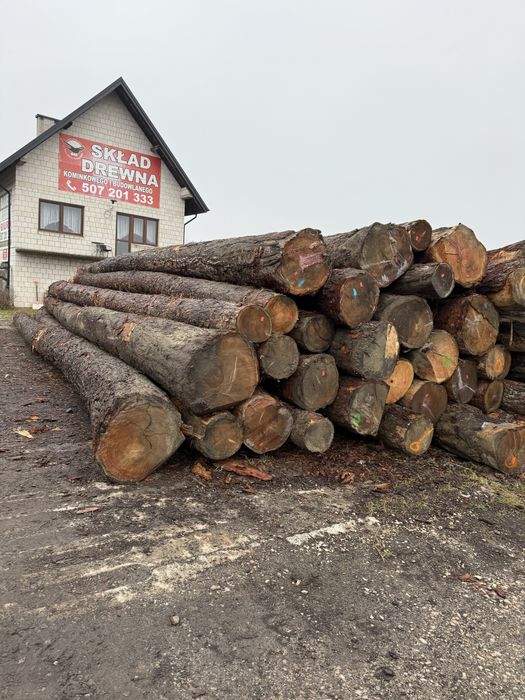 Drewno Modrzew tartaczny