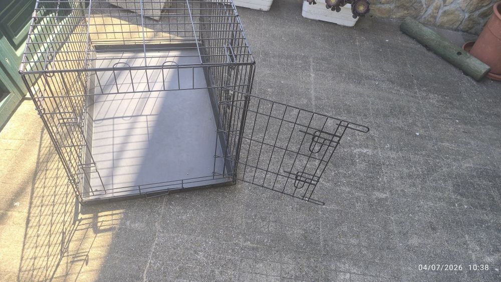 Caixa de transporte de cão