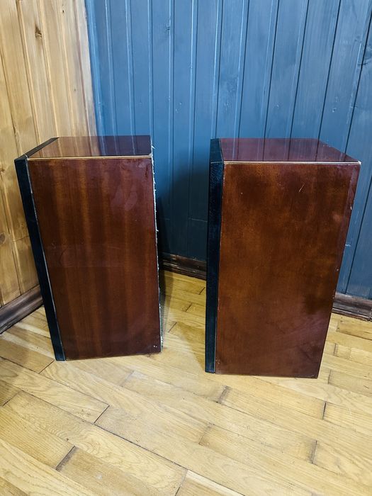 25 АС-309 акустична система