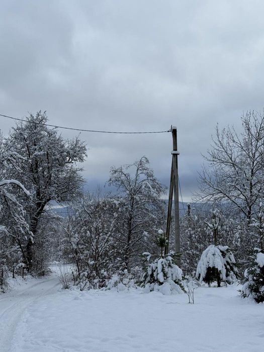 Продаж / Земля / ОСГ / Верхнє Синьовидне/ Львівська область