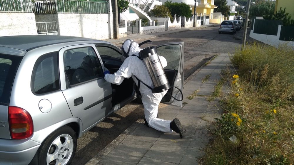 Desinfestações 24h