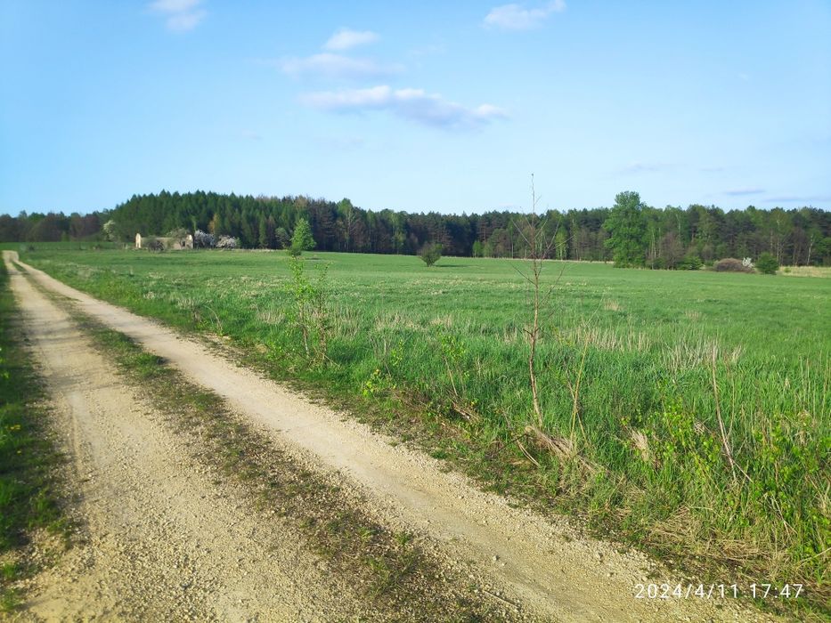 Działka 2655 m² z częścią budowlaną | Chruszczobród (gm. Łazy) - Widok 4