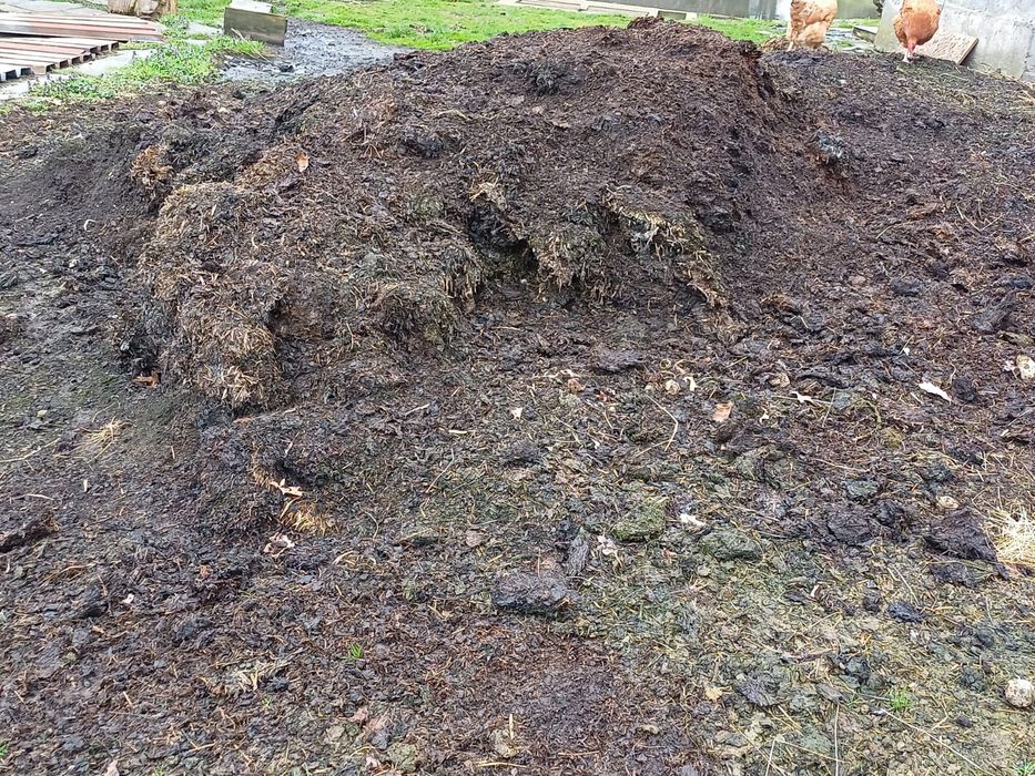 Sprzedam  przeleżały  obornik barani