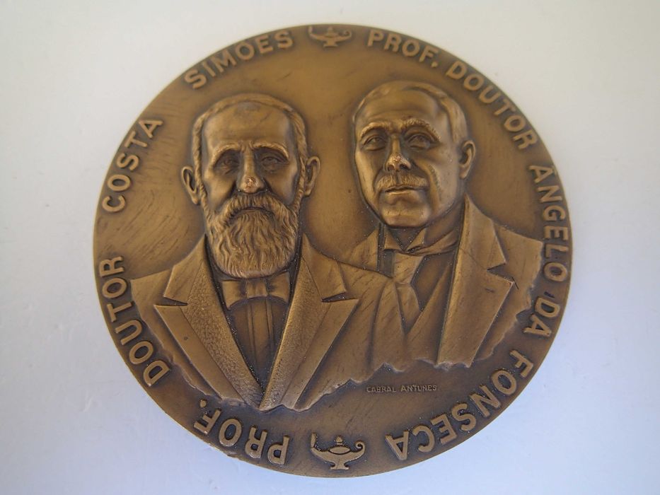 Medalha em Bronze Centenário da Escola de Enfermagem Ângelo da Fonseca