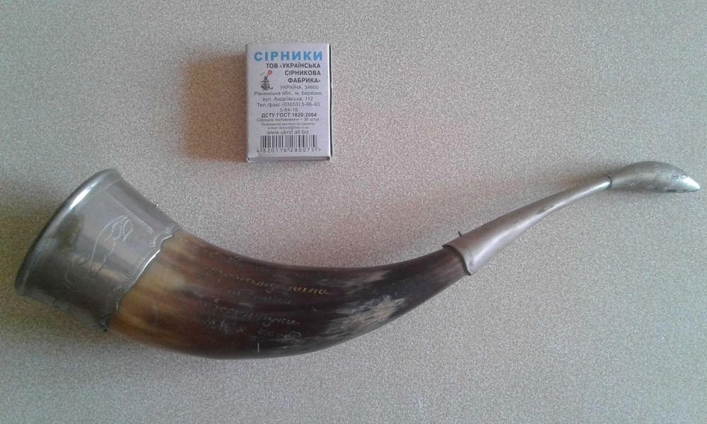 Рог с серебрянными вставками (Самоделка)