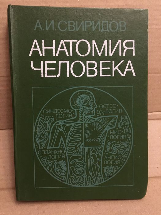 Анатомия человека. Свиридов.
