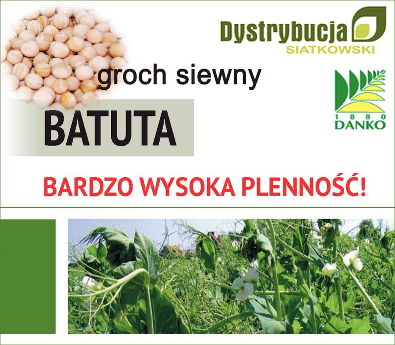 Kwalifikowane nasiona siewne groch BATUTA C/1