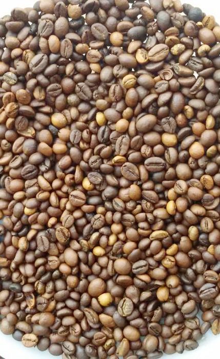 Кава  Робуста В'єтнам clean 16 1кг