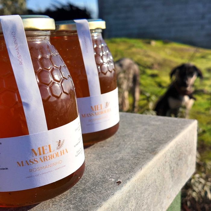 Mel de Rosmaninho 1Kg - Trás-os-Montes | Venda Só em Quantidade