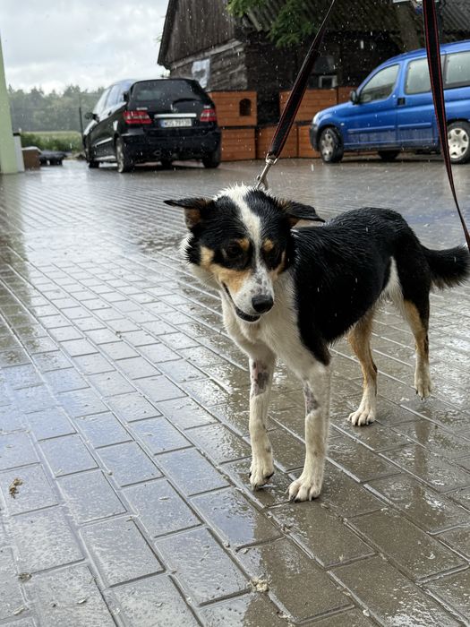 Pokochaj cudowną Tenę