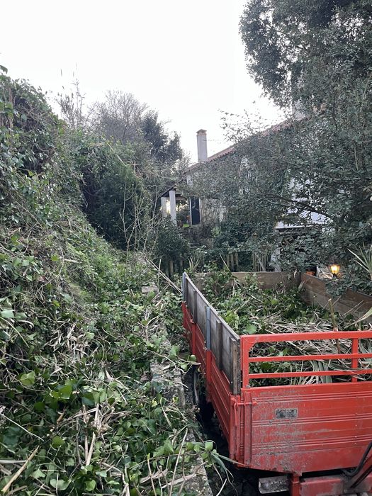 Serviços agricolas e florestais / jardins / corte de arvores/ vedacoes