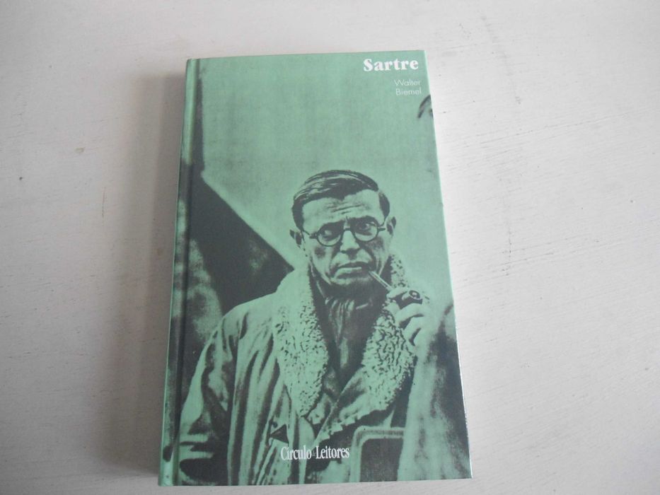 Sartre por Walter Biemel