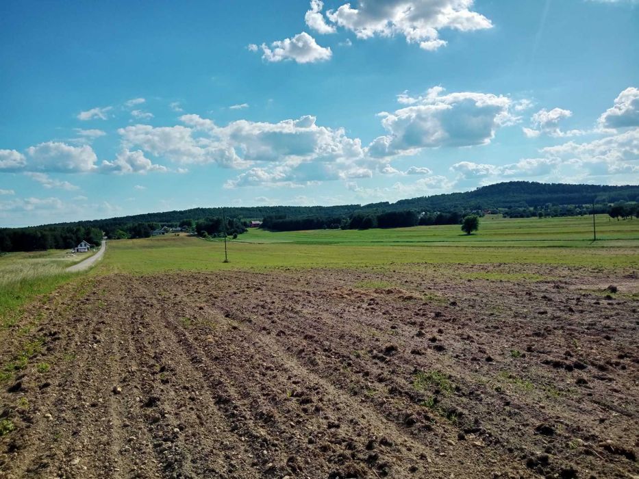 sprzedam działkę  budowlaną -budowę w trakcie i wiele innych  działek - Widok 3