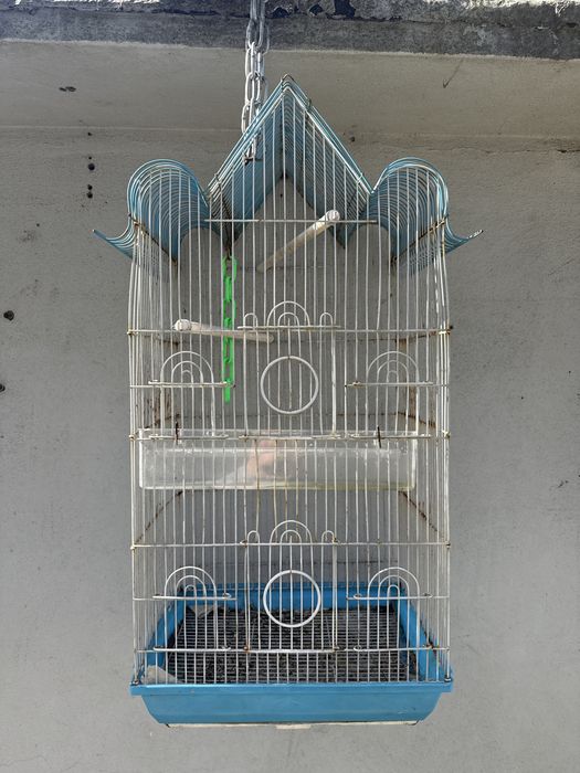 gaiola com puleiros e comedouro