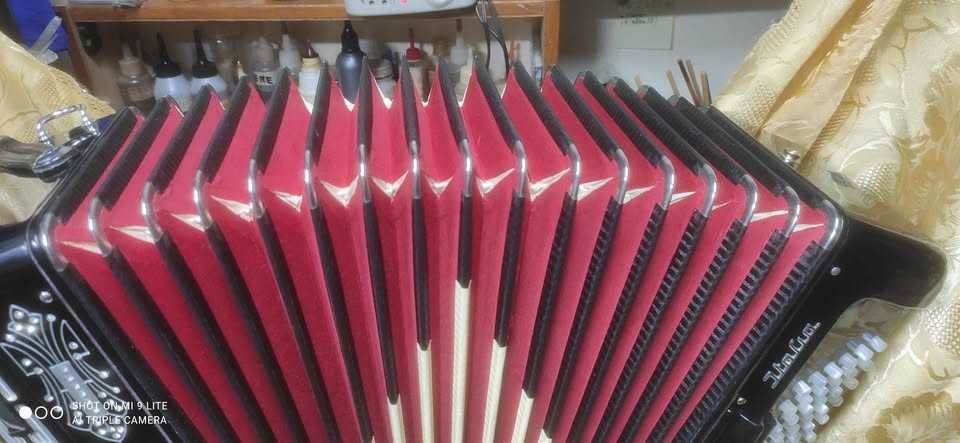 Accordiola Super , 3a voz , só 9.5 kg