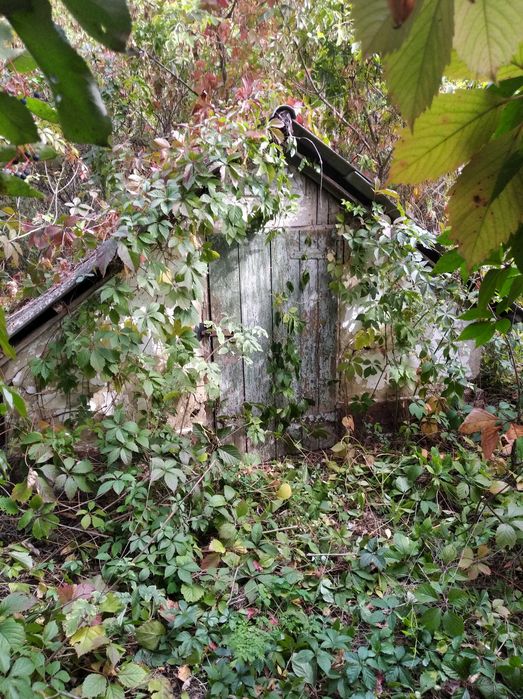 Продам будинок 10 км. від міста Хорол.