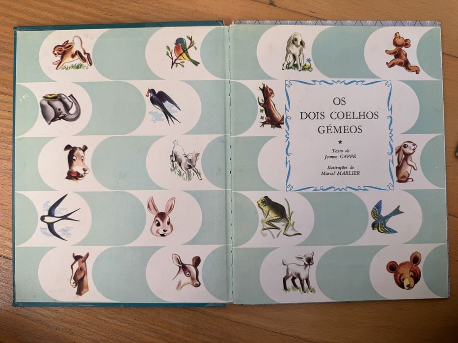 Os dois Coelhos Gémeos - (Nº 41) - Anita