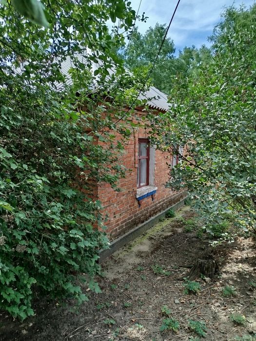 Продам будинок в затишному тихому селi