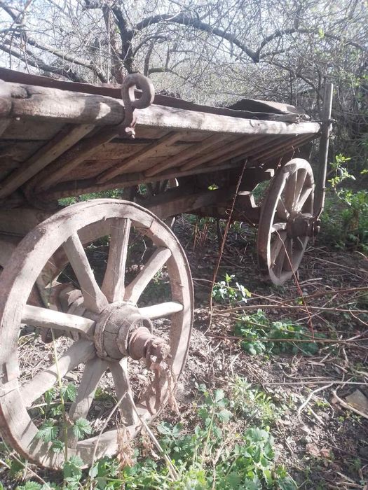 Віз на колесах, одноконка