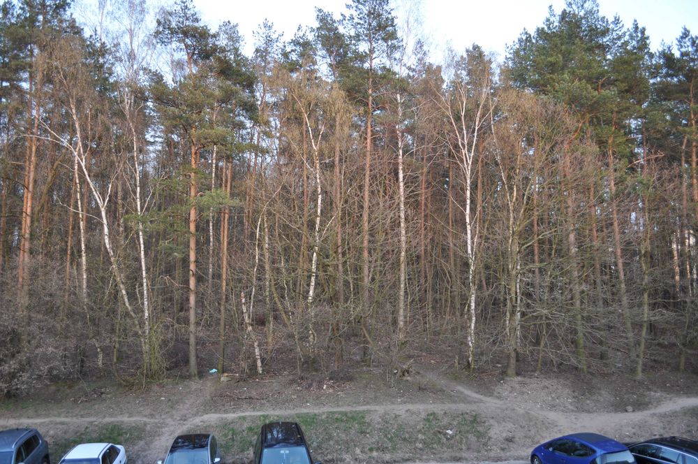 Mieszkanie – Gdańsk - Widok 2