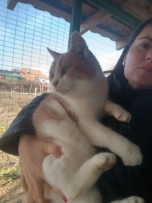 Марвел 5 лет кастрирован,в квартиру