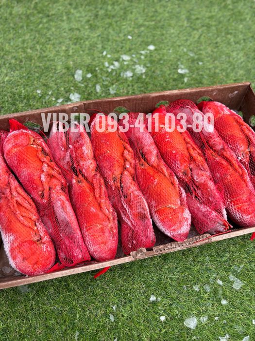 Лобстер, Юкола, Креветки, Рулет Рибний, Хек, Суп Набір, Філе Лосося