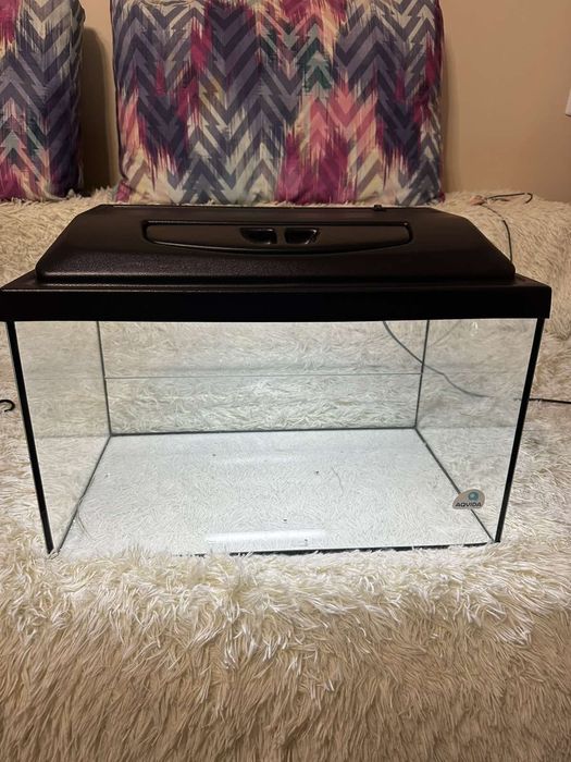 Тераріум з підсвіткою