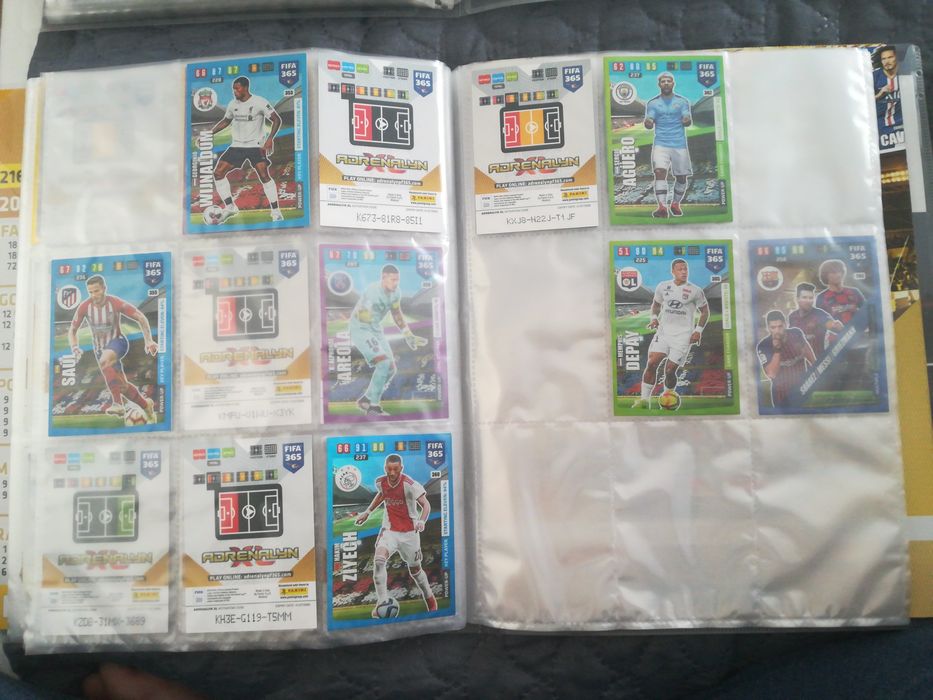 Album z Kartami Panini - FIFA 365 edycja 2019/20 (258 z 423 sztuk)