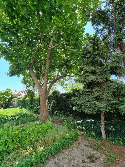 10 ст. Б.Фонтана! 13 соток в закрытом кооперативе!