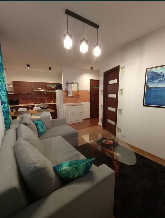 Centrum,apartament na doby, parking.