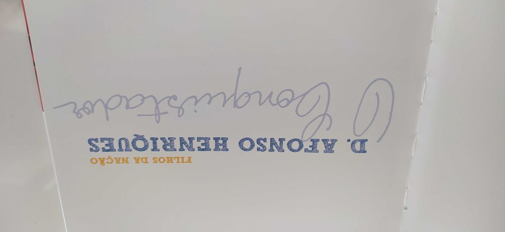Livro: "D. Afonso Henriques"