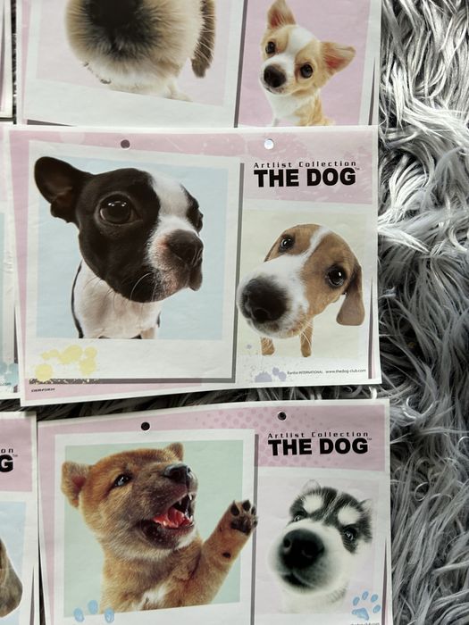 the dog karteczki