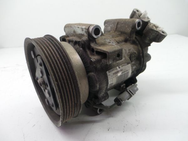 Compressor AC RENAULT Clio III (BR0/1, CR0/1)