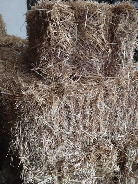 50 Fardos de Palha - 5€ cada fardo