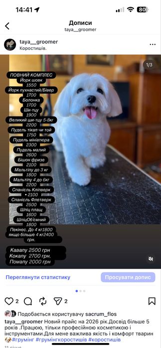 грумінг для собак