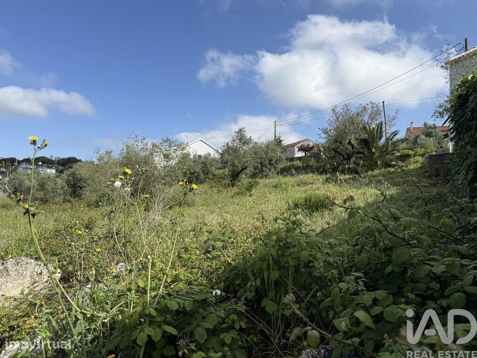 Terreno em Alqueidão da Serra