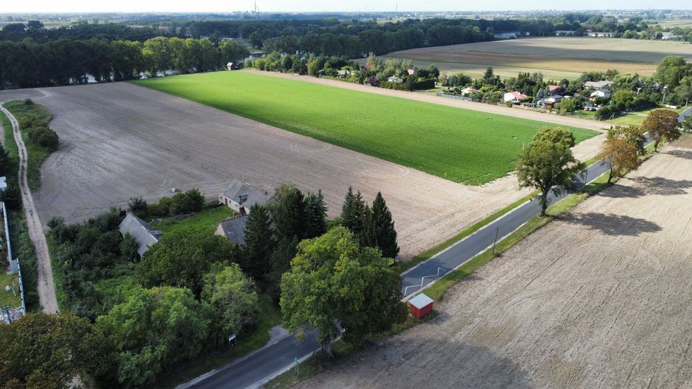 Siedlisko 3100 m² | Dom + budynki gospodarcze 250 m² | Łojewo