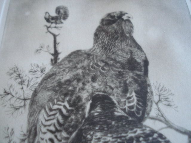 Quadro Gravura Aves - Assinada, autor desconhecido