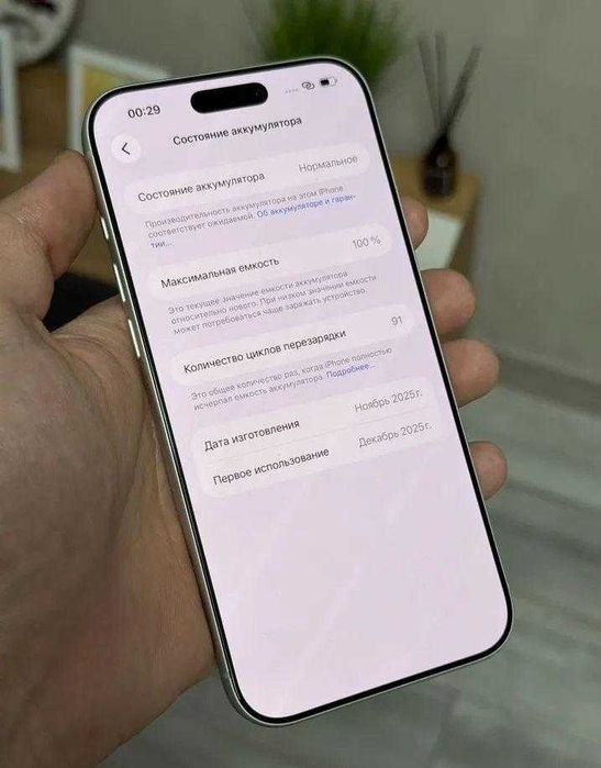 iPhone 17 Pro Max, 256 ГБ, SIM + eSIM