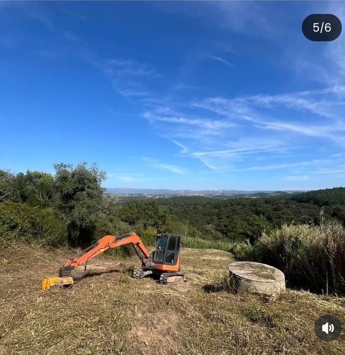 Limpeza de terrenos e corte de árvores
