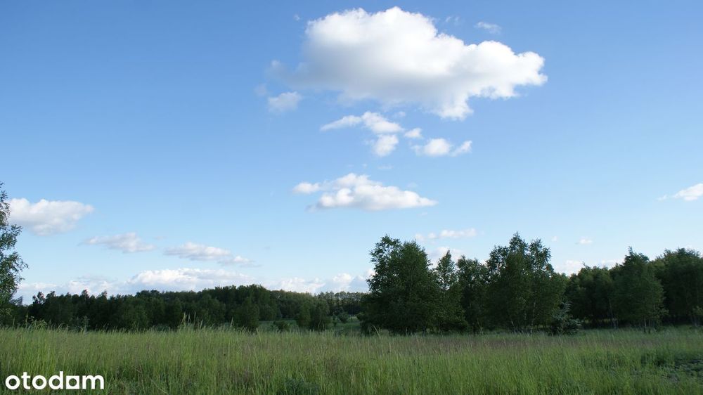 Działki - Ścienne - Ińsko