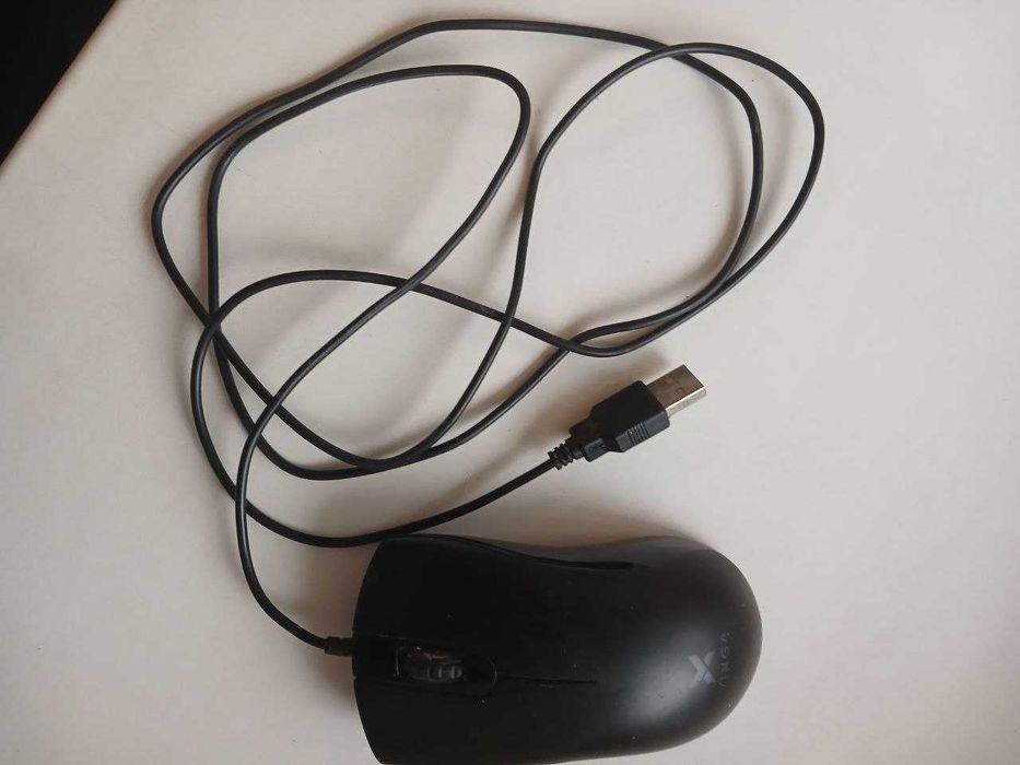 Комп'ютерна мишка ( Компьютерная мышка )