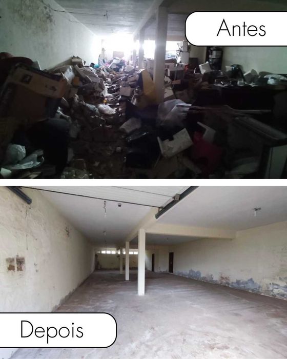 Remoção de monos, Limpeza de terrenos e muito mais