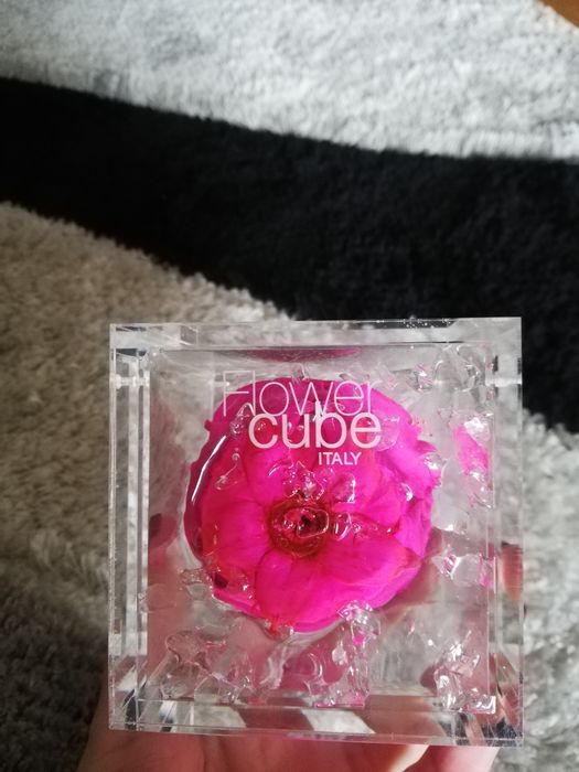 Rosa preservada perfumada