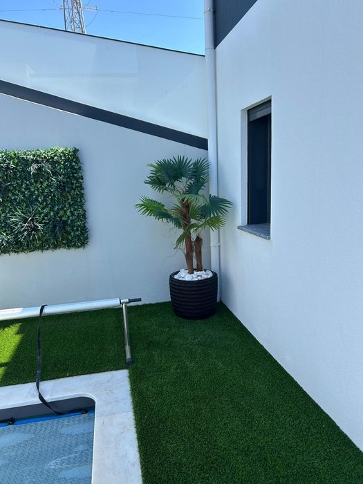Promoção palmeiras lindissimas areca para decorações