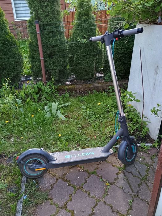 Hulajnoga elektryczna Motus Scooty 10 Lite