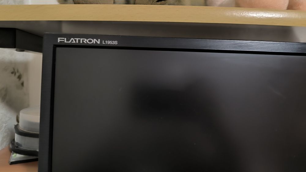 Монітор LG Flatron L1953S